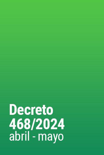 Decreto 468/2024