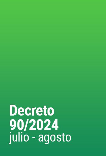 Decreto 90/2024