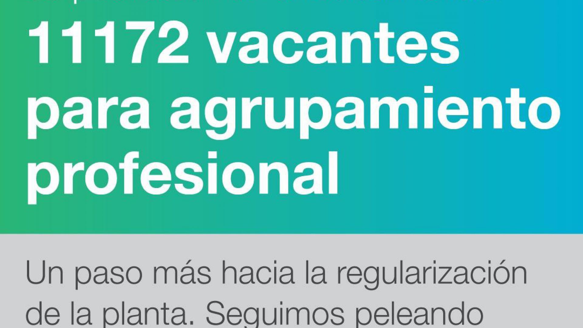 Por Boletín Oficial fueron anunciadas 11.172 vacantes para agrupamiento profesional SINEP